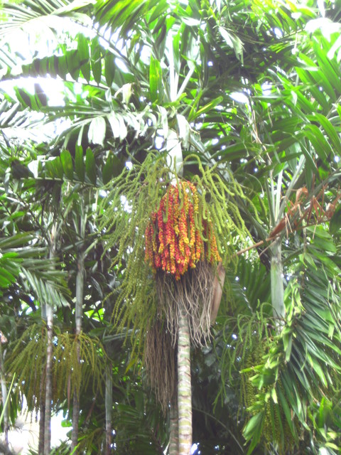c0209845_2323583.jpg