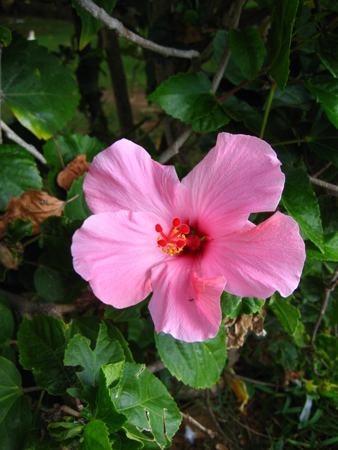 c0209845_23244940.jpg
