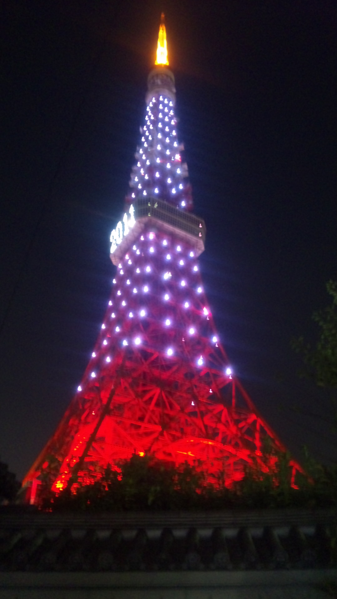 b0139547_2023421.jpg