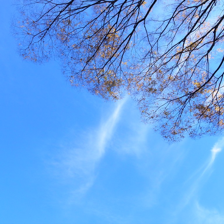 e0009147_1814237.jpg