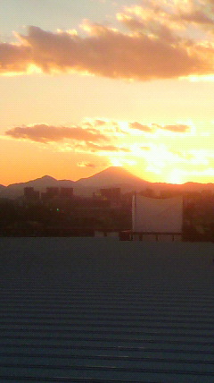e0150849_1349133.jpg