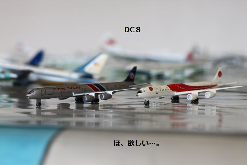 a0090451_01899.jpg