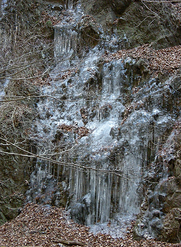 a0001354_2391370.jpg