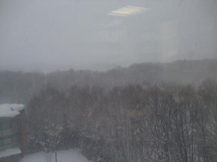 f0149057_2334018.jpg