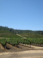 c0185058_825759.jpg