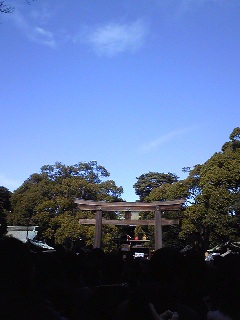 a0077063_10282063.jpg