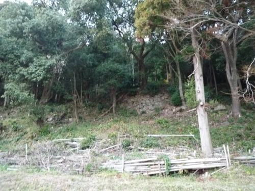 b0141664_154971.jpg