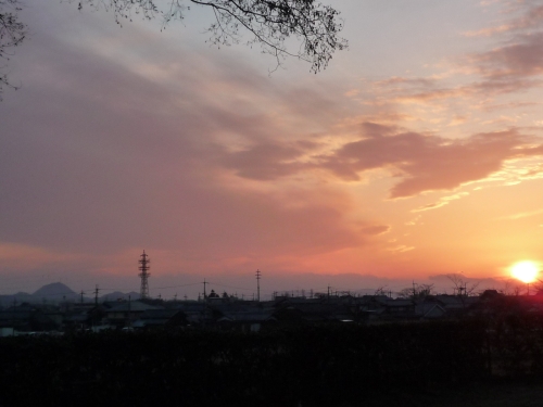 b0141664_21662.jpg