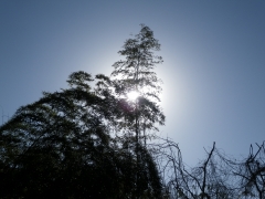 f0055264_1826561.jpg