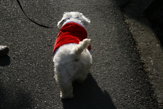 a0069271_13263096.jpg