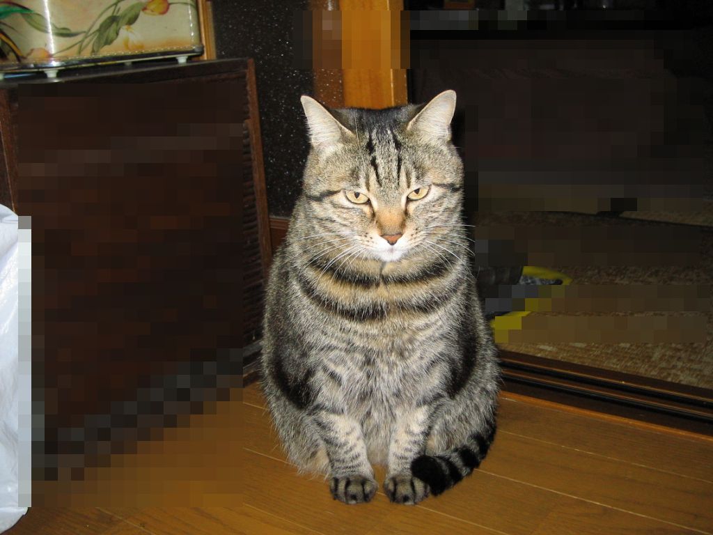 e0031572_20111690.jpg