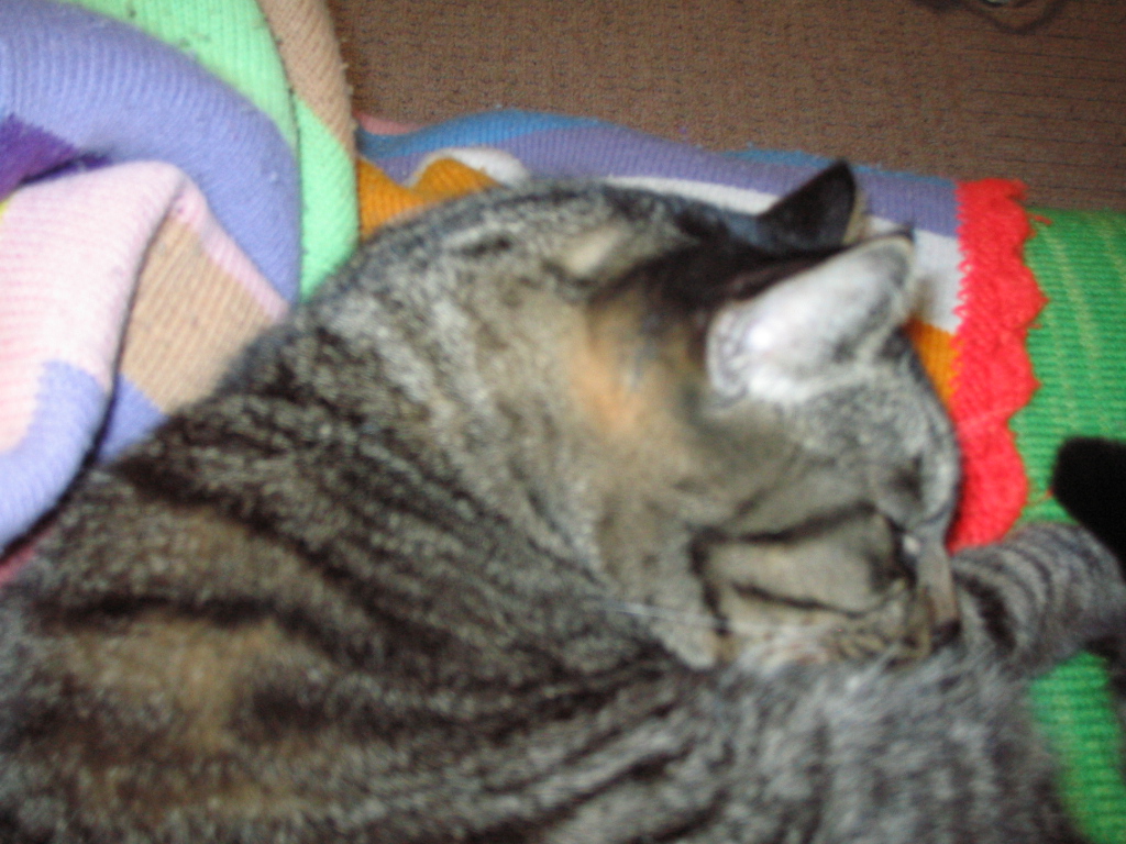 e0031572_2015201.jpg