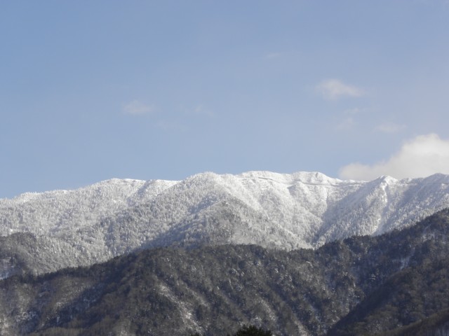 d0134473_16342178.jpg