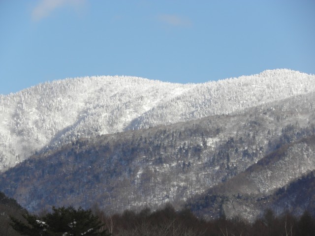d0134473_16374630.jpg