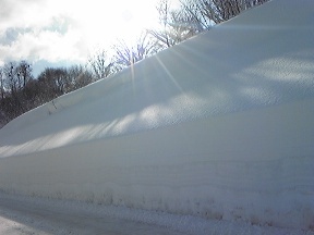 c0057781_23374960.jpg
