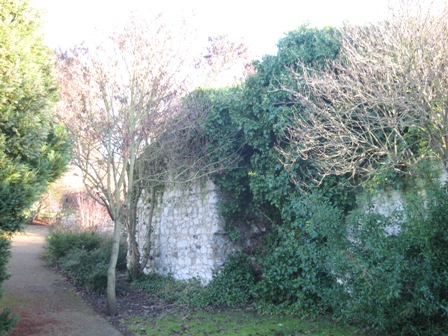 f0141785_8403572.jpg
