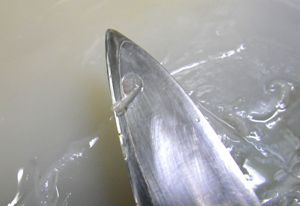 b0068687_0341056.jpg