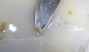 b0068687_034745.jpg