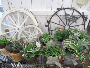 c0146487_1641473.jpg