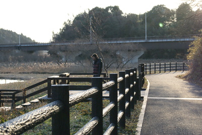 d0166491_1558335.jpg