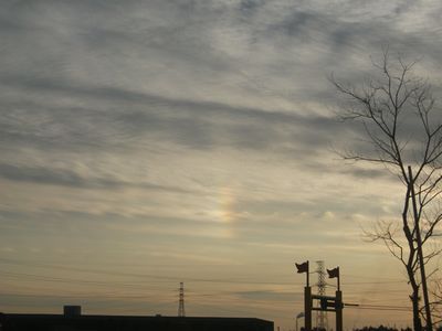 d0118592_1016639.jpg