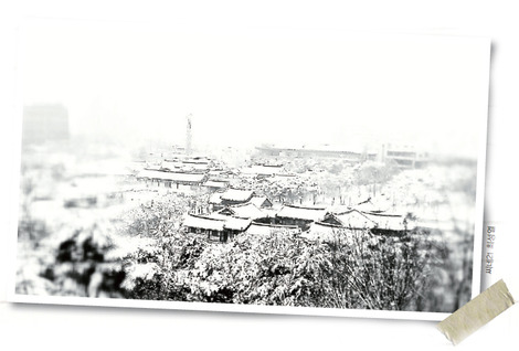e0109292_2035969.jpg