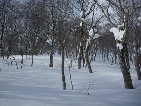 a0043193_21371549.jpg