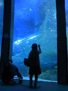 a0103293_10112972.jpg