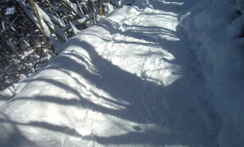 b0099994_23281613.jpg