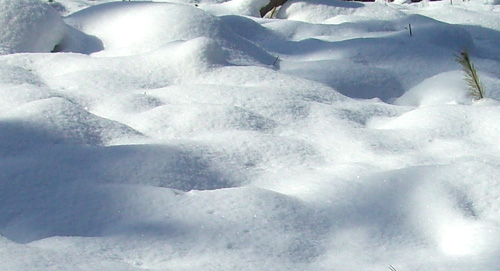 b0099994_23295084.jpg