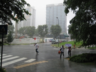 a0042295_17572328.jpg