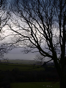b0110999_23233248.jpg