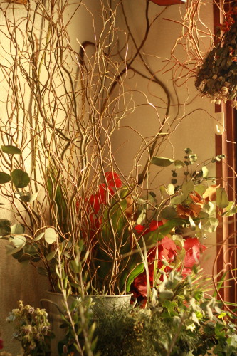 c0190900_9173464.jpg