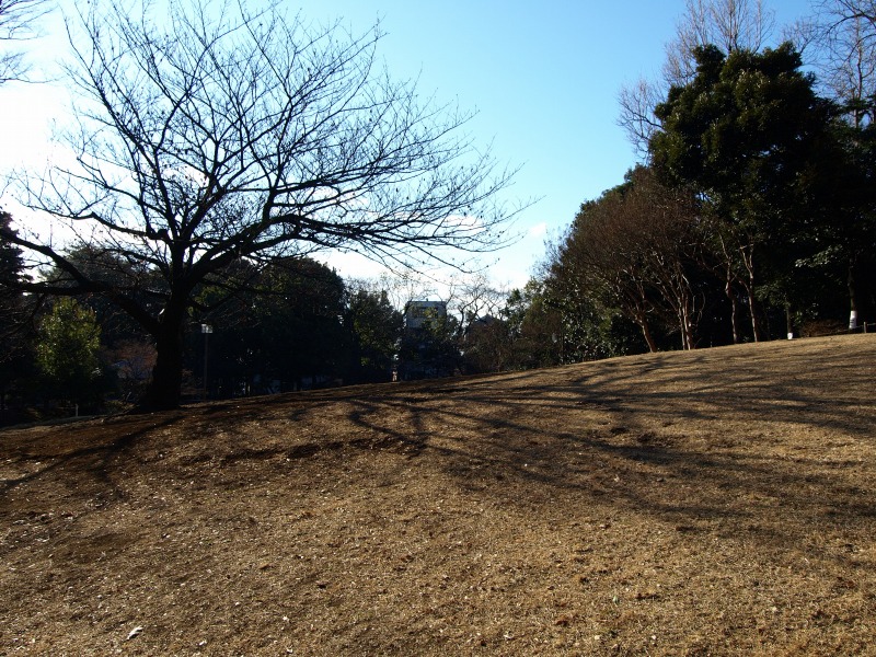 f0224100_8142711.jpg