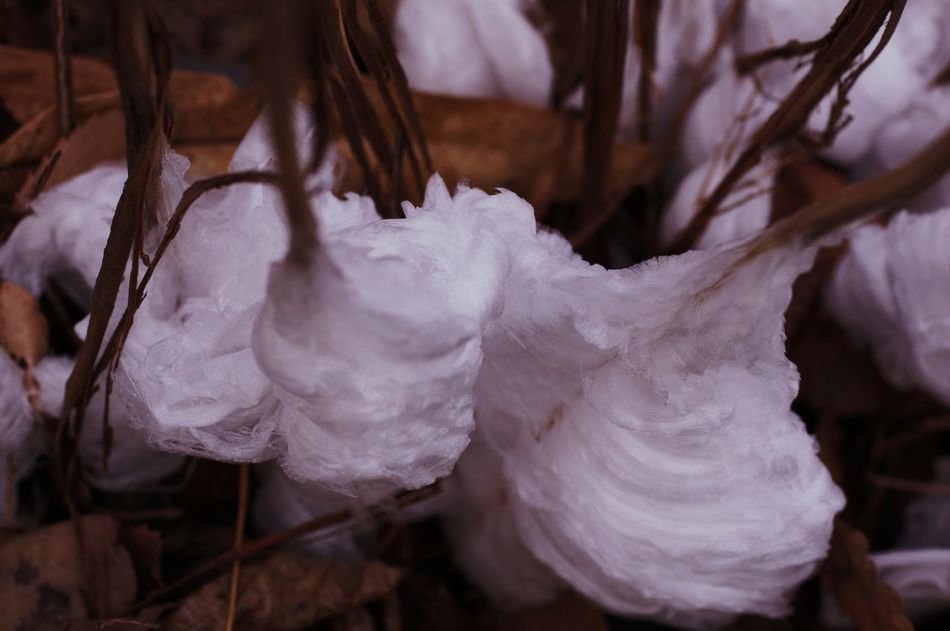 c0187503_22201714.jpg