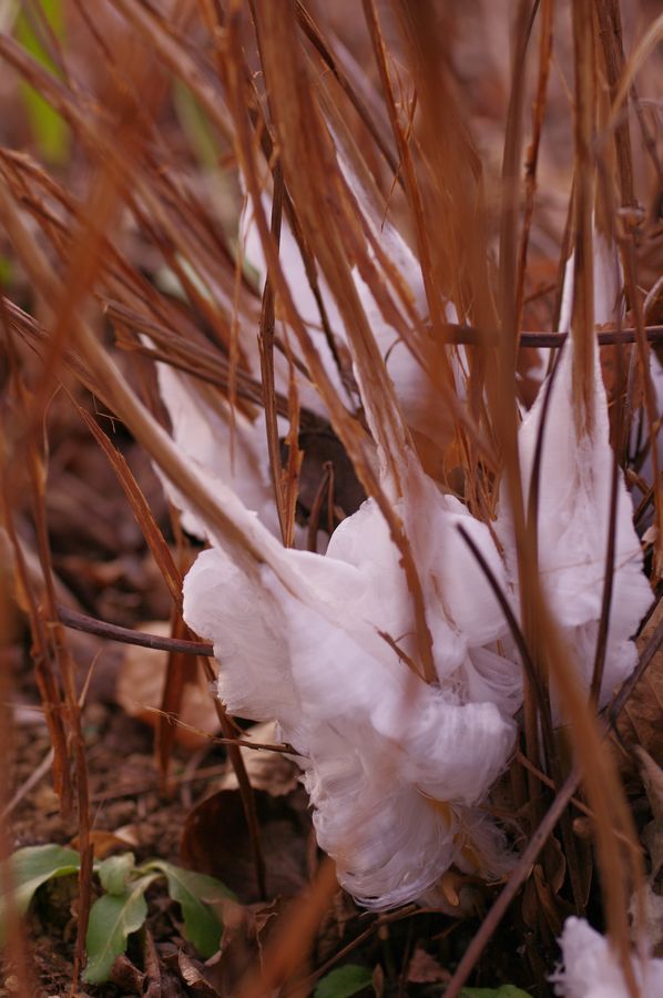 c0187503_22243059.jpg