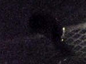 e0103408_10355651.jpg