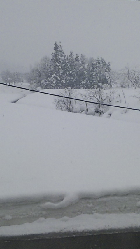f0121909_1154667.jpg