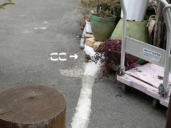 c0190010_20305677.jpg