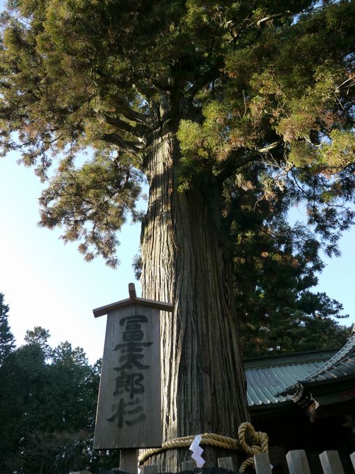 c0039114_13572745.jpg