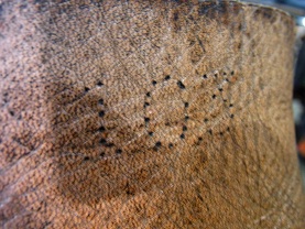 e0211717_14584743.jpg