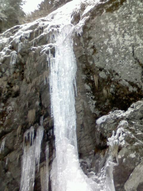 c0210618_8554277.jpg