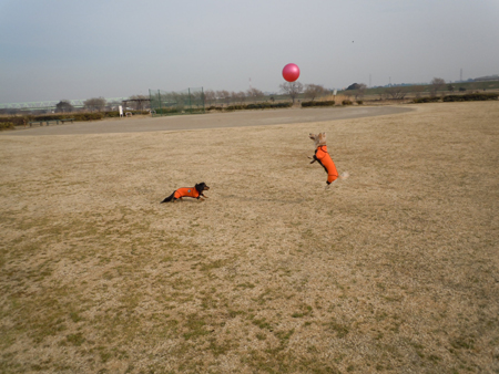 c0117831_219124.jpg