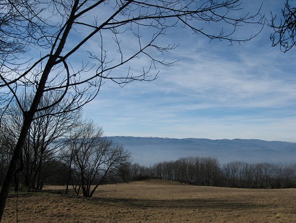 f0234936_8175361.jpg