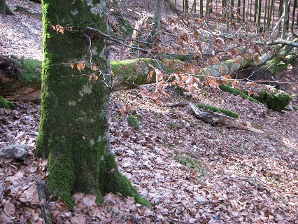 f0234936_8182676.jpg