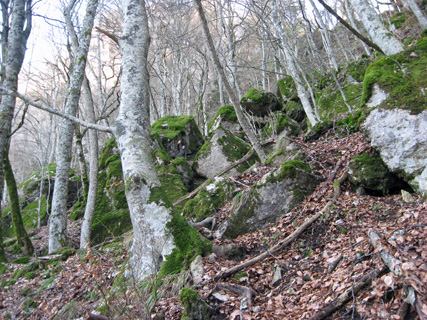 f0234936_8184792.jpg