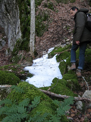 f0234936_81941.jpg