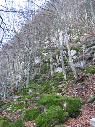 f0234936_8194525.jpg
