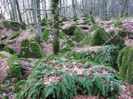 f0234936_820744.jpg