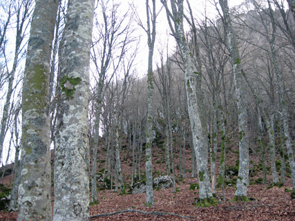 f0234936_8212854.jpg